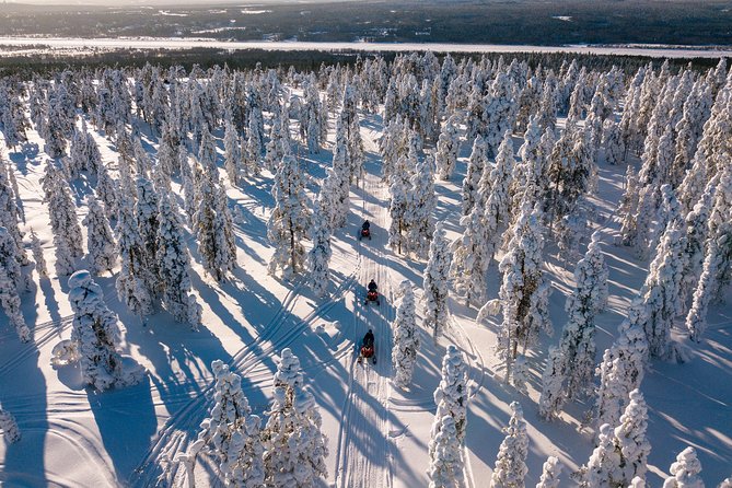 Lapland Family Snowmobile Safari from Levi - Scenic Stops and Photo Opportunities