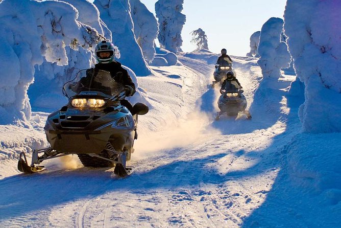 Lapland Family Snowmobile Safari from Rovaniemi - Practical Details: What’s Included and What to Prepare