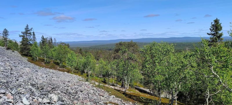 Lapland: Guided Hiking Tour in the Pristine Nature in Luosto - The Scenic Landscape of Luosto