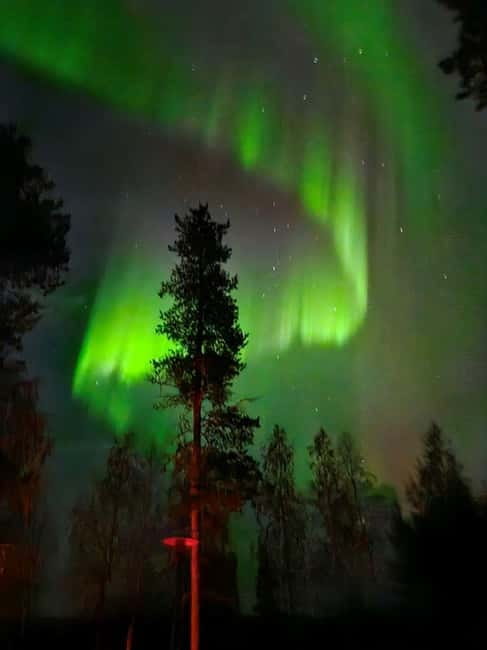 Lapland: Guided Hiking Tour in the Pristine Nature in Luosto - The Experience of the Midnight Sun and Quiet Wilderness
