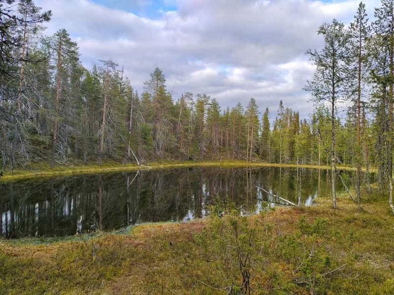 Lapland: Guided Hiking Tour in the Pristine Nature in Luosto - Refreshments and Snacks in the Heart of Nature
