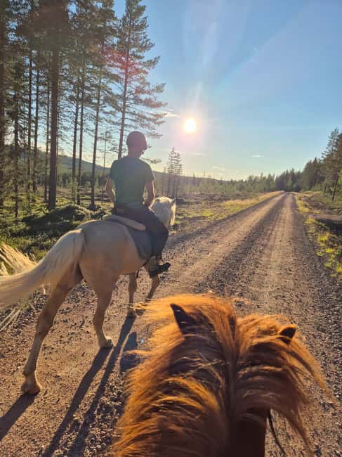Lapland: Horse Ride to the Hill - Key Points