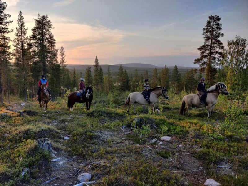 Lapland: Horse Ride to the Hill - Scenic Horseback Ride Through Lapland’s Fells