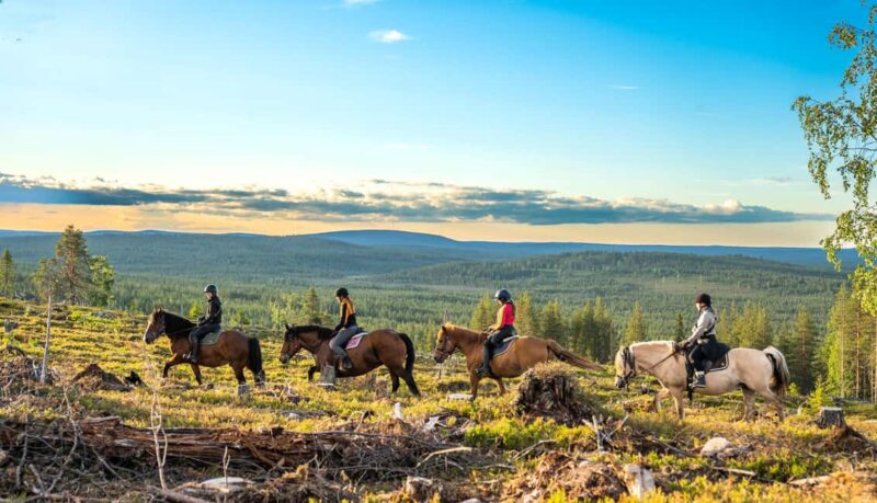 Lapland: Horse Ride to the Hill - Meet the Ranch Animals and Learn About Local Life