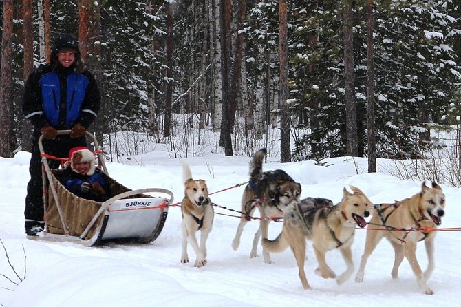 Lapland Husky Safari from Saariselkä - Post-Safari Warmth: Snacks and Drinks by the Fire