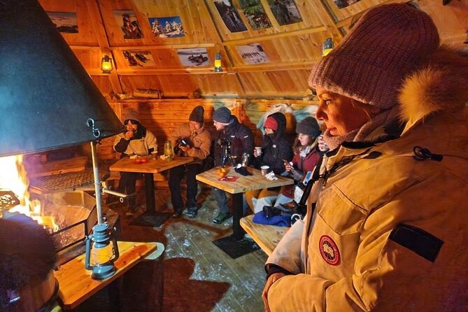 Lapland In A Day - Reindeer, Sledding, Snowmobile & Nature - Key Points