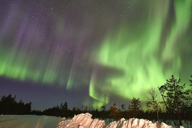 Lapland In A Day - Reindeer, Sledding, Snowmobile & Nature - Finnish Snacks and Cultural Comfort in a Kota