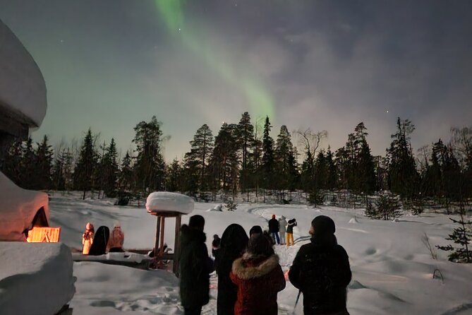 Lapland In A Day - Reindeer, Sledding, Snowmobile & Nature - Warmth and Comfort at the Lantern-Lit Forest Trail