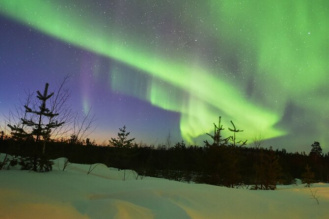Lapland In A Day - Reindeer, Sledding, Snowmobile & Nature - The Importance of Weather and Flexibility