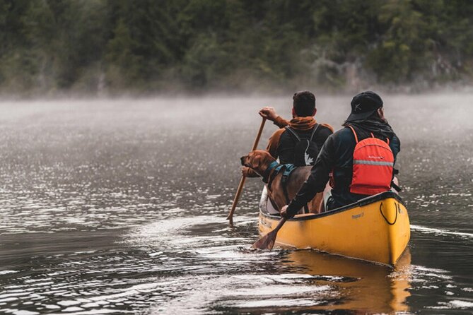 Lapland Kayak Adventure in Rovaniemi - Who Will Enjoy the Lapland Kayak Adventure?