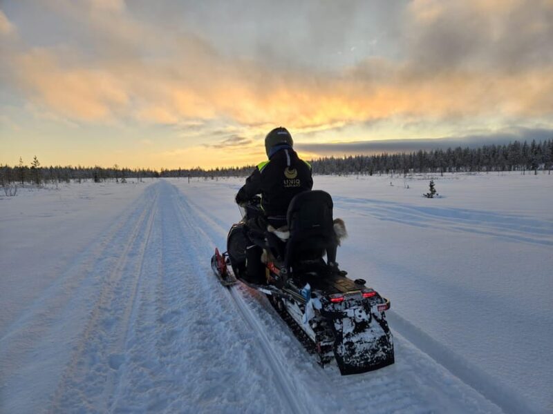 Lapland: Private Snowmobile Safari with arctic Local Guide - VIP Service and Cozy Refreshments in the Arctic Wilderness