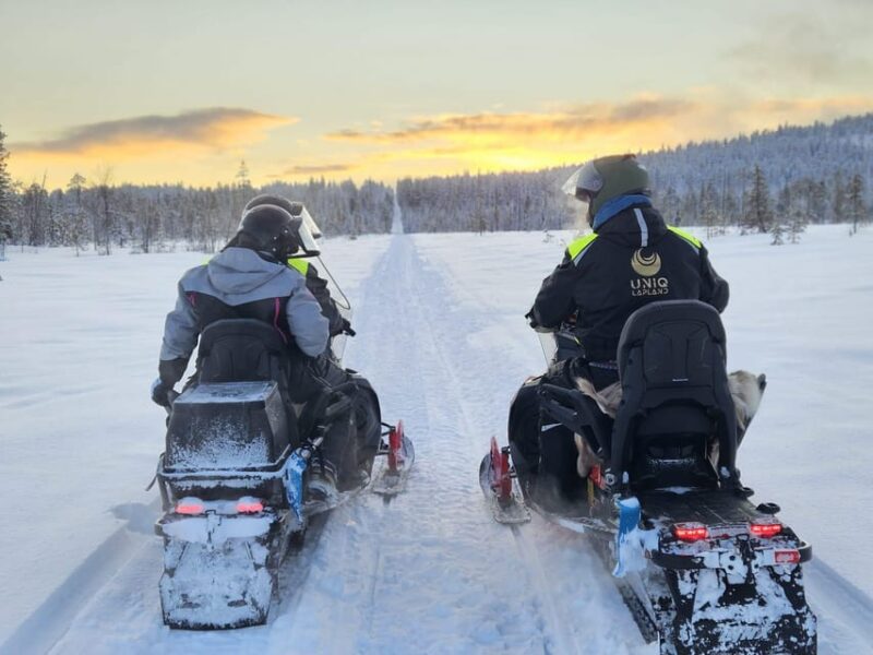 Lapland: Private Snowmobile Safari with arctic Local Guide - Flexibility and Booking Options with Cancellation