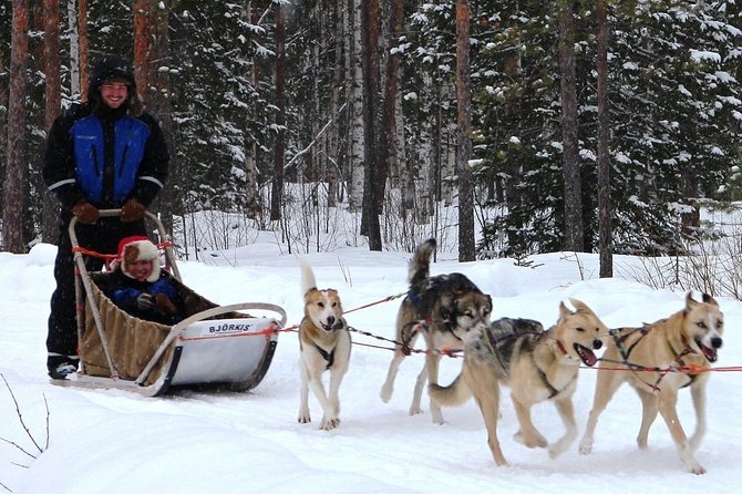 Lapland Reindeer and Husky Safari from Rovaniemi - Considerations and Limitations of the Tour
