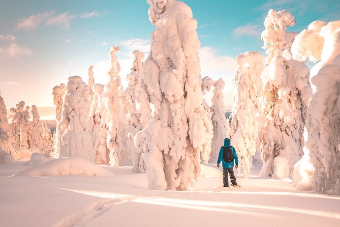 Lapland Winter Experience - Discover the Lapland Winter Experience in Rovaniemi