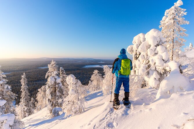 Lapland Winter Experience - Arctic Wilderness and Forest Exploration