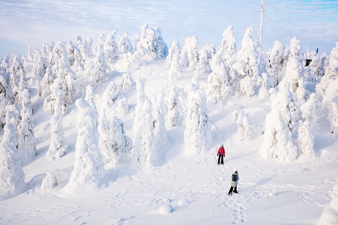 Lapland Winter Experience - Who Will Most Enjoy This Tour?