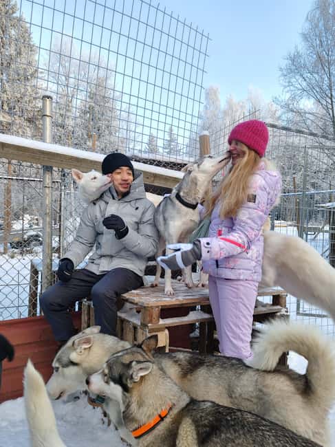 Lappeenranta: Husky Farm Visit and Sleigh Ride and Tiipii - The Calming Rhythm of Drumming with White Flowers Mervi