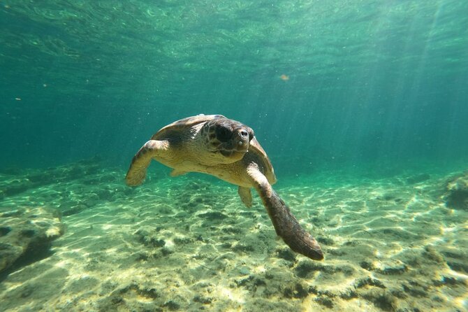 Lara Bay & Adonis Falls Quad & Buggy Tour - Off-Road Driving in Mini Jeep or Quad Bike