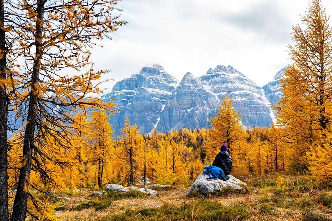 Larch Valley/Moraine Lake Shuttle Transfer from Banff and Canmore - Key Points