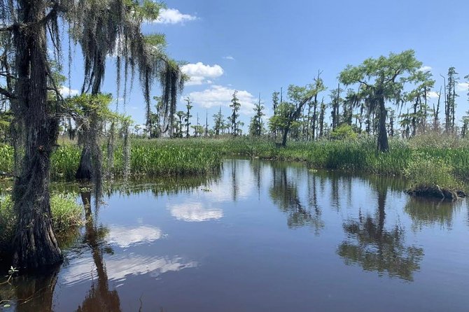 Large Airboat Swamp Tour with Transportation from New Orleans - Practical Details: Pickup, Group Size, and Comfort