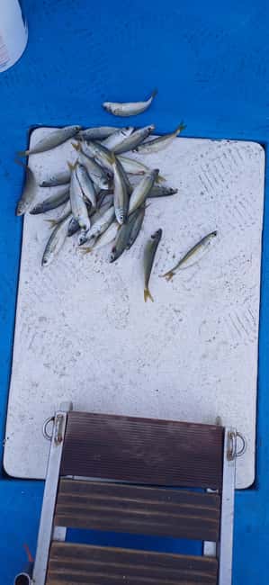 Larnaca: Private Fishing - Traditional Explorer N Vessel - Authentic Yet Comfortable Private Fishing Adventure in Larnaca