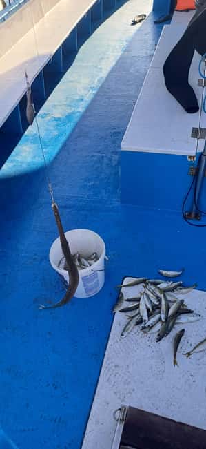 Larnaca: Private Fishing - Traditional Explorer N Vessel - Key Points