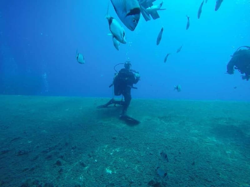 Larnaca: Private Zenobia Beginners Divers - The Zenobia Wreck: A Prime Dive Site for Beginners