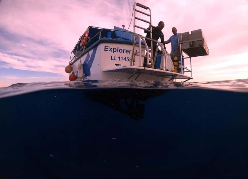 Larnaca: Snorkelling Zenobia Wreck Plus Mini Cruise - Snorkelling the Zenobia Wreck: An Underwater Marvel