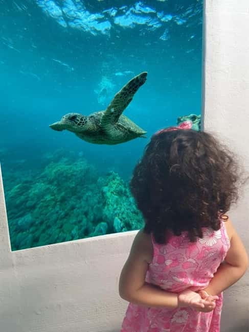 Larnaca: Yellow Submarine Mini Cruise with a Swim Stop - Key Points