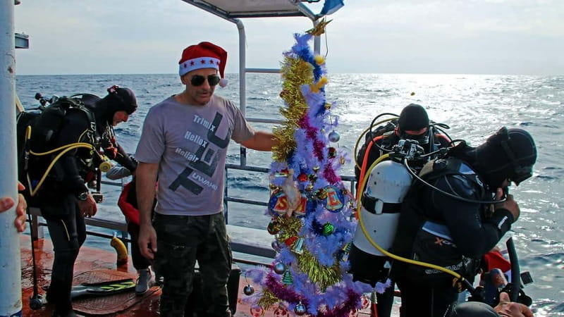 Larnaca: Zenobia Qualified Divers - Exploring Other Cypriot Dive Sites in Protaras