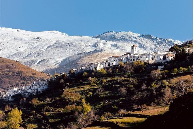 Las Alpujarras Full-Day Tour with Optional Lunch from Granada - Guide Expertise and Cultural Insights
