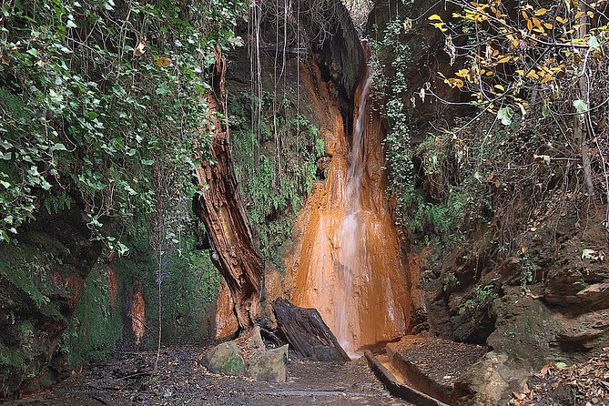 Las Alpujarras Full-Day Tour with Optional Lunch from Granada - Pacing and Physical Requirements