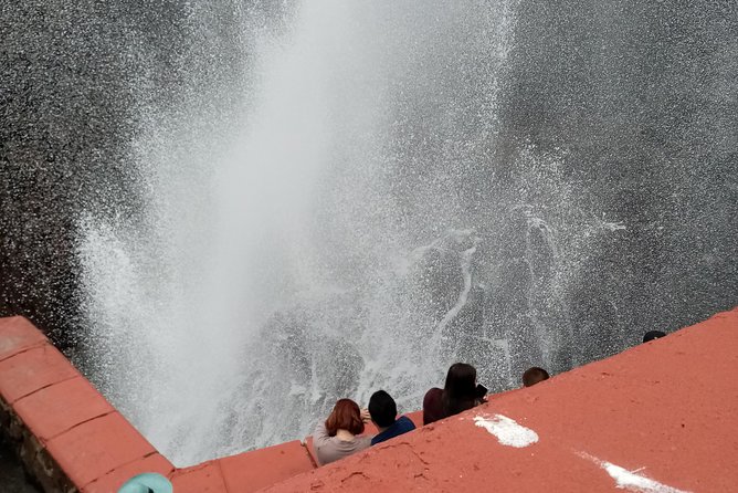 Las Canadas Ecopark and Bufadora private tour - Key Points