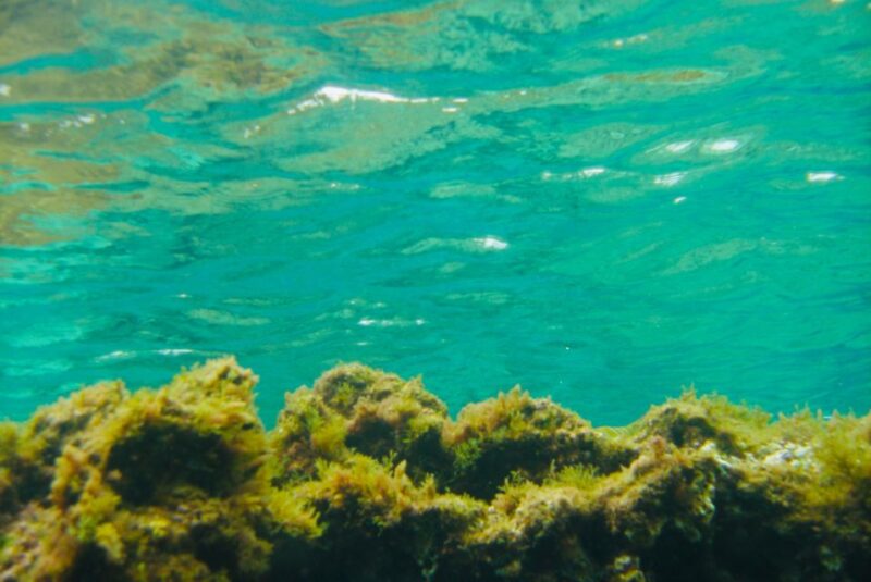 Las Canteras Scuba Diving - Starting Your Underwater Adventure at Las Canteras Beach