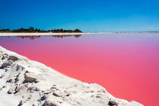 Las Coloradas and Rio Lagartos Tour with All Inclusive - Additional Stops: The Salt Pools and Ecological Reserve