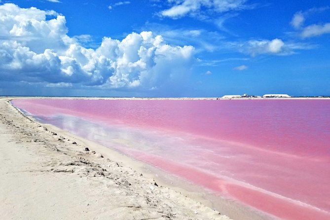 Las Coloradas Exploring Tour - Key Points