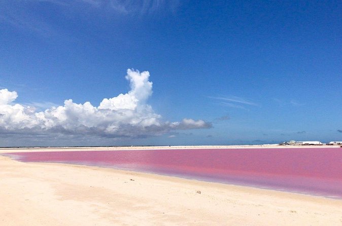 Las Coloradas Exploring Tour - Group Size and Booking Flexibility