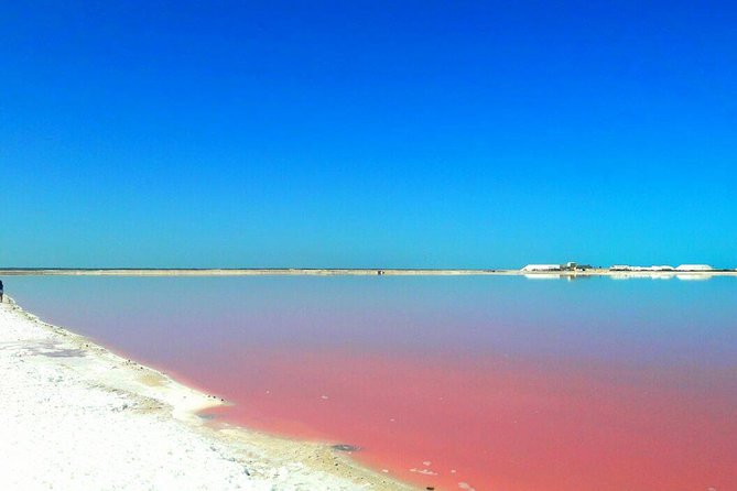 Las Coloradas Natural Pink Lake Tour from Cancun & Riviera Maya - Key Points