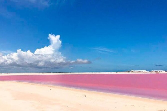 Las Coloradas Pink Lake &Rio Lagartos Adventure from Riviera Maya - Logistics: Pickup, Group Size, and Duration