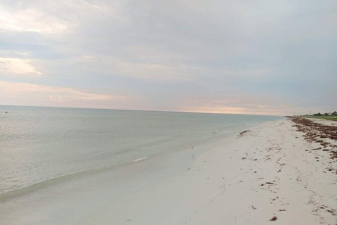 Las Coloradas Pink Lakes & Río Lagartos Boat Experience - Pricing, Inclusions, and Additional Costs