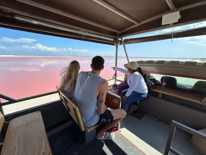 Las Coloradas: Pink Lakes Safari Tour - Explore the Stunning Pink Lakes of Las Coloradas for Just $38