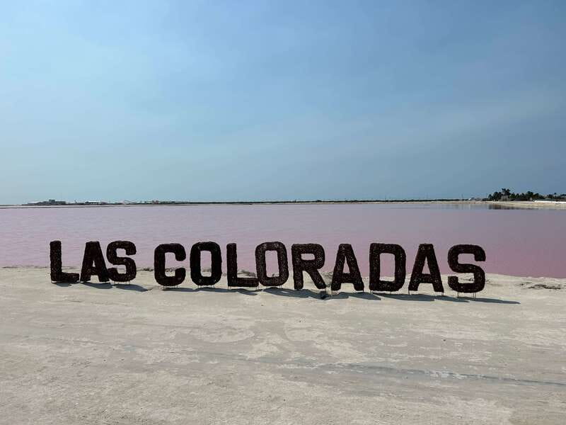 Las Coloradas: Pink Lakes Safari Tour - Learning About the Rio Lagartos Biosphere Reserve