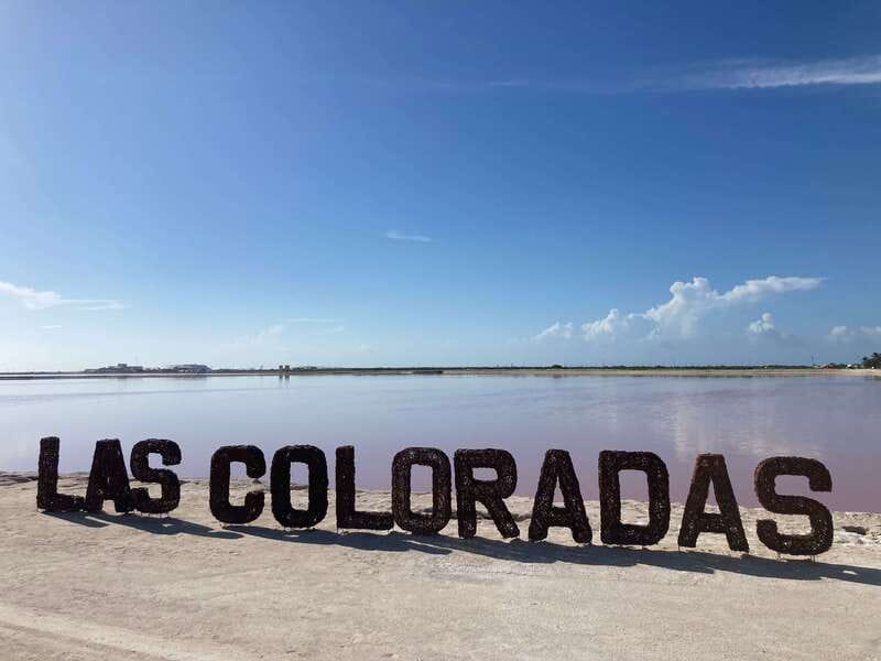 Las Coloradas: Pink Lakes Safari Tour - Practical Tips for a Smooth Experience
