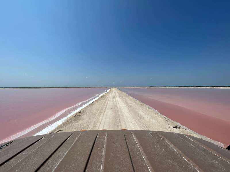 Las Coloradas: Pink Lakes Safari Tour - Limitations and Considerations
