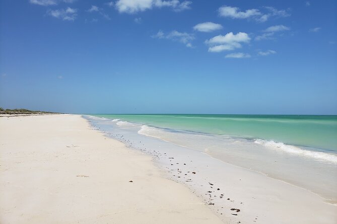 Las Coloradas, Río Lagartos and Playa Cancunito Tour from Mérida - Río Lagartos Boat Tour: Encountering Flamingos and Crocodiles