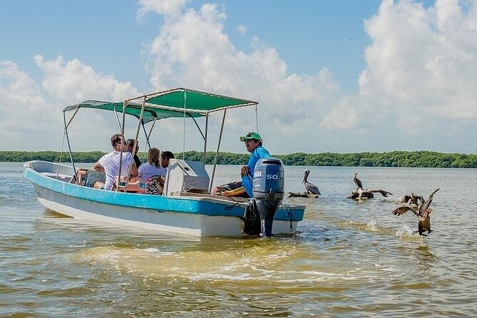 Las Coloradas & Rio Lagartos Biosphere! Transportation from Playa Del Carmen - Learning about Salt Production and the Pink Ponds