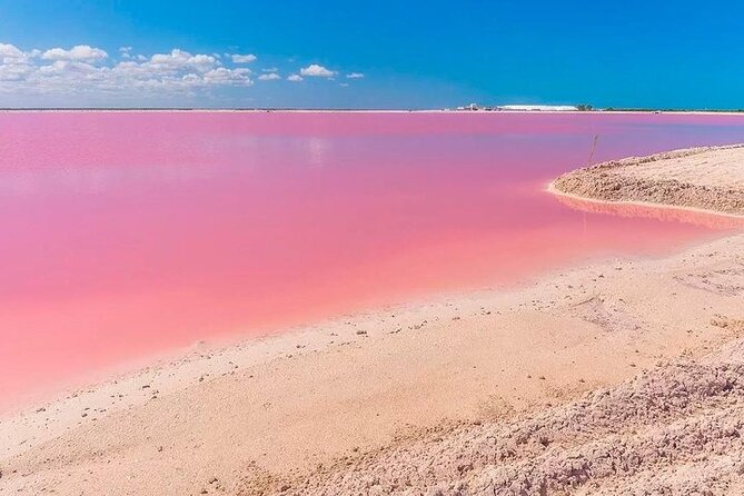 Las Coloradas & Rio Lagartos Biosphere! Transportation from Playa Del Carmen - Costs and Additional Fees