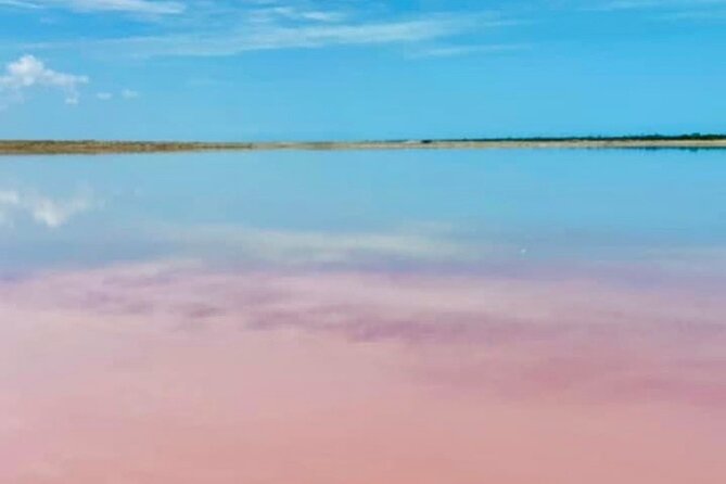 Las Coloradas & Río Lagartos with boat & Lunch from Mérida - Río Lagartos Boat Ride: Wildlife and Mangroves