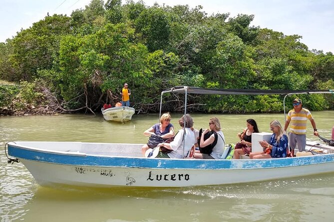 Las Coloradas Tour! Boat Ride, Lunch & Rio Lagartos from Cancun - Meals and Refreshments: From Box Lunch to Local Cuisine