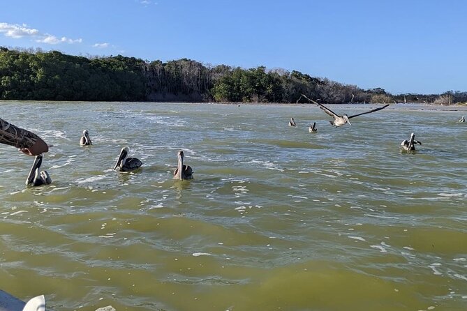 Las Coloradas Tour! Boat Ride, Lunch & Rio Lagartos from Cancun - Booking, Cancellation, and Important Tips